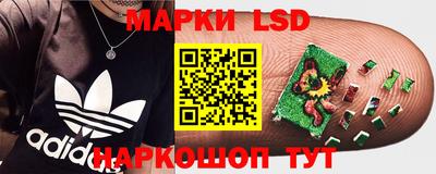 эйфоретик Тверь