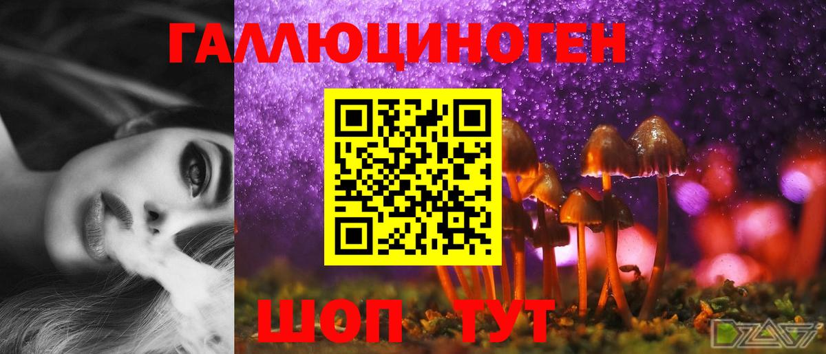 Псилоцибиновые грибы Psilocybine cubensis  Вход с VPN  Нижний Новгород 